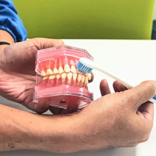 訪問歯科｜株式会社アシスタンス