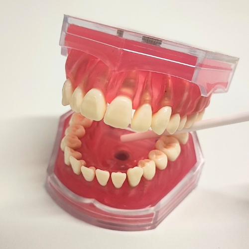 訪問歯科｜株式会社アシスタンス