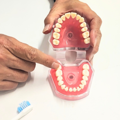 訪問歯科｜株式会社アシスタンス